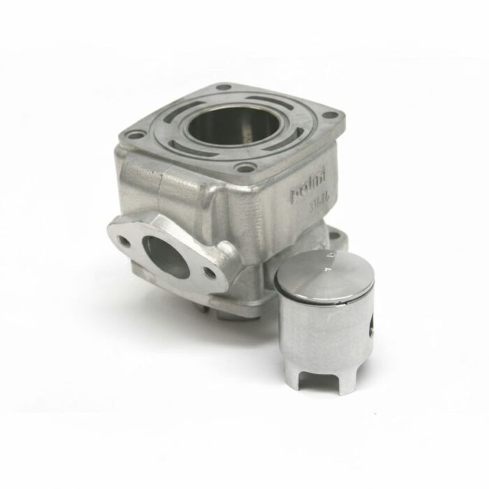 Cilindro 3 Travasi Acqua Nicasil D. 36 Minimoto Motore Polini 143.010.011 - Ricambi Minimoto