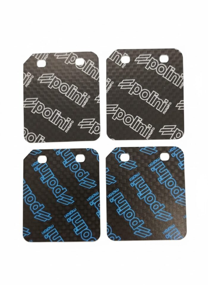 Lamelle Carbonio spessore 0,28 - 0,33 Minimoto Motore Polini 143.400.002 - Ricambi Minimoto