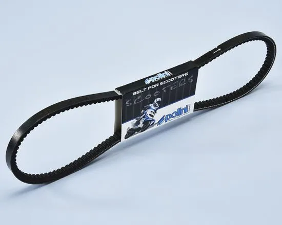 Cinghia Piaggio Ciao Dentata Polini Senza Variatore 248.105 - Ciao Si