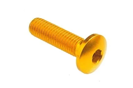 Vite in Ergal Lightech Testa Bombata Diametro 14 M6 X 20 - Accessori e Ricambi