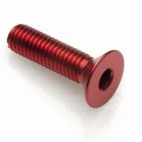 Vite in Ergal Lightech Testa Piana Svasata Diametro 16 M8 X 30 - Ricambi e Accessori Moto