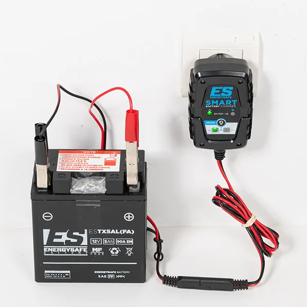 Carica Batteria Moto e Mantenitore di Carica ENERGYSAFE Smart 12V-6V - Ricambi e Accessori Moto