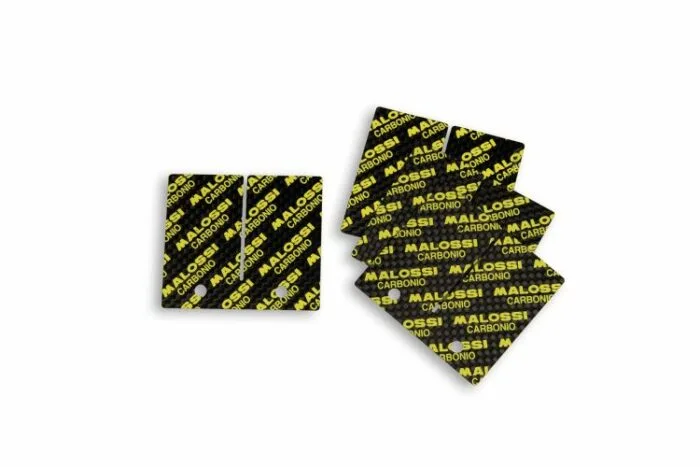 Lamelle Carbonio Malossi 0,30-0,35 Pacco lamellare VL17 AM6-Derbi 2714402.C0 - Ricambi Motocross Motard
