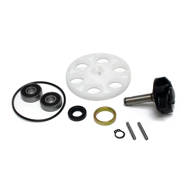 Kit Revisione Pompa Acqua per Scooter Minarelli - Ricambi Scooter