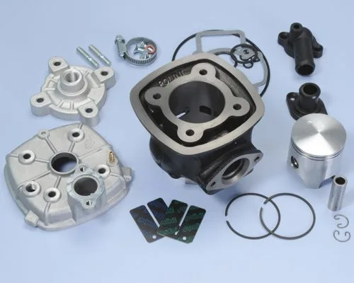 140.0183 Gruppo Termico Polini D.47 H2o Ghisa Piaggio- Ricambi e Accessori Scooter