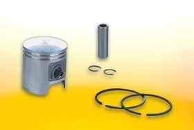 346172 Pistone Malossi D.47 Sp.10 Completo- Ricambi e Accessori Scooter