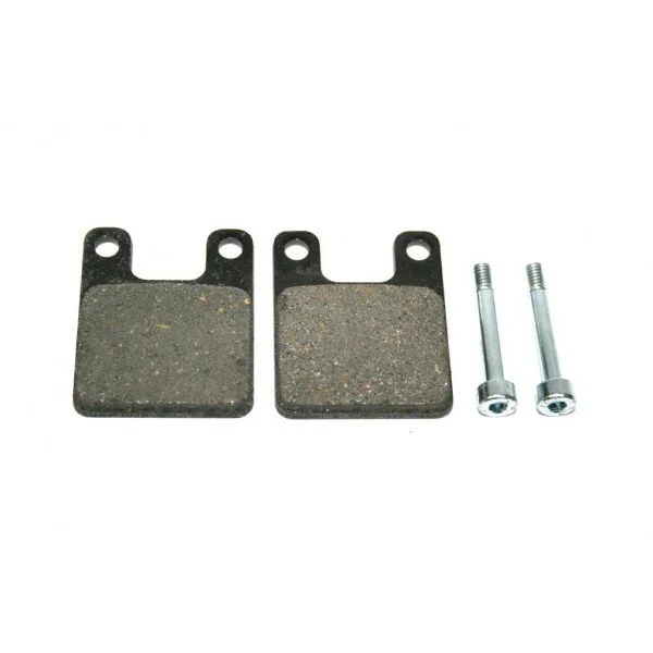 Pastiglie Freno Minimoto Freno Meccanico 2 Fori 144.750.008 - Ricambi e Accessori Minimoto