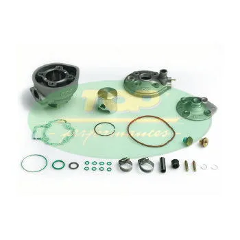 9921560 Gruppo Termico Top Performances TPR D.47,6 H2o Piaggio- Ricambi e Accessori Scooter