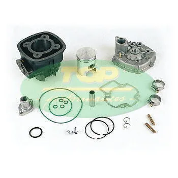 9916510 Gruppo Termico Top Performances Trophy D.48 H2o Piaggio- Ricambi e Accessori Scooter
